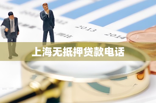 上海无抵押贷款电话