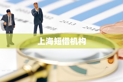 上海短借机构