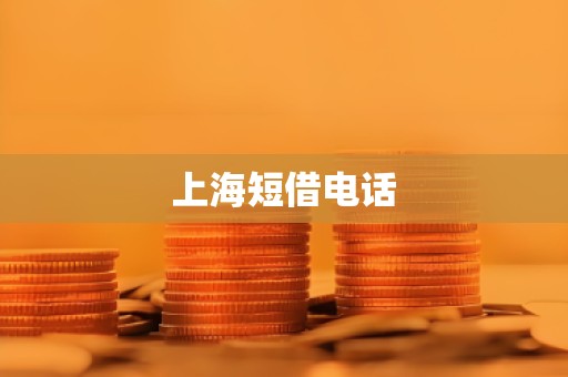 上海短借电话 上海短借电话