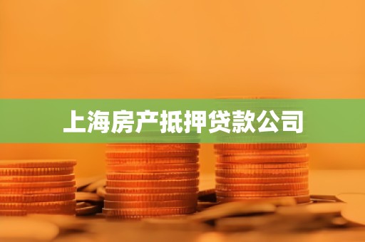 上海房产抵押贷款公司 上海房产抵押贷款公司