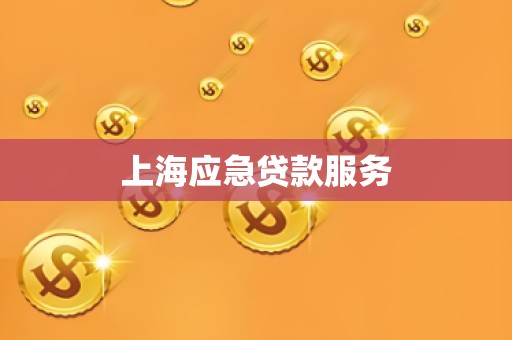 上海应急贷款服务 上海应急贷款服务