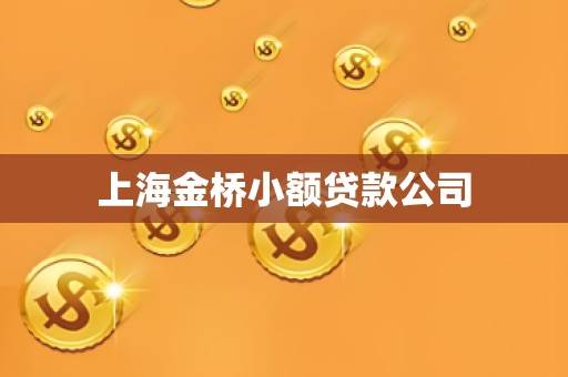 上海金桥小额贷款公司