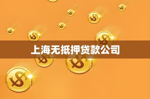 上海无抵押贷款公司