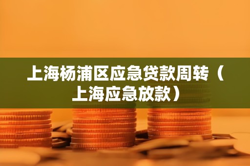 上海杨浦区应急贷款周转(上海应急放款) 上海杨浦区应急贷款周转(上海应急放款)