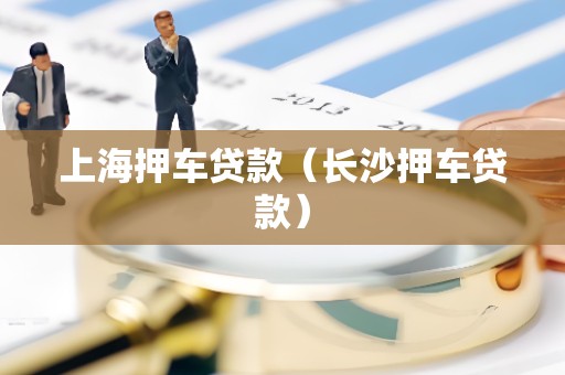 上海押车贷款(长沙押车贷款)