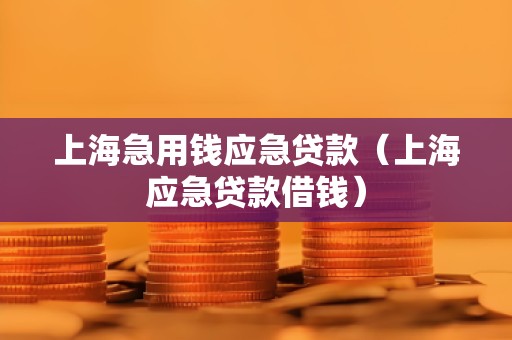 上海急用钱应急贷款(上海应急贷款借钱) 上海急用钱应急贷款(上海应急贷款借钱)