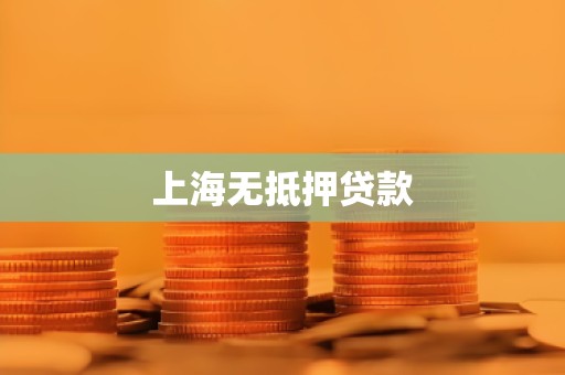 上海无抵押贷款 上海无抵押贷款